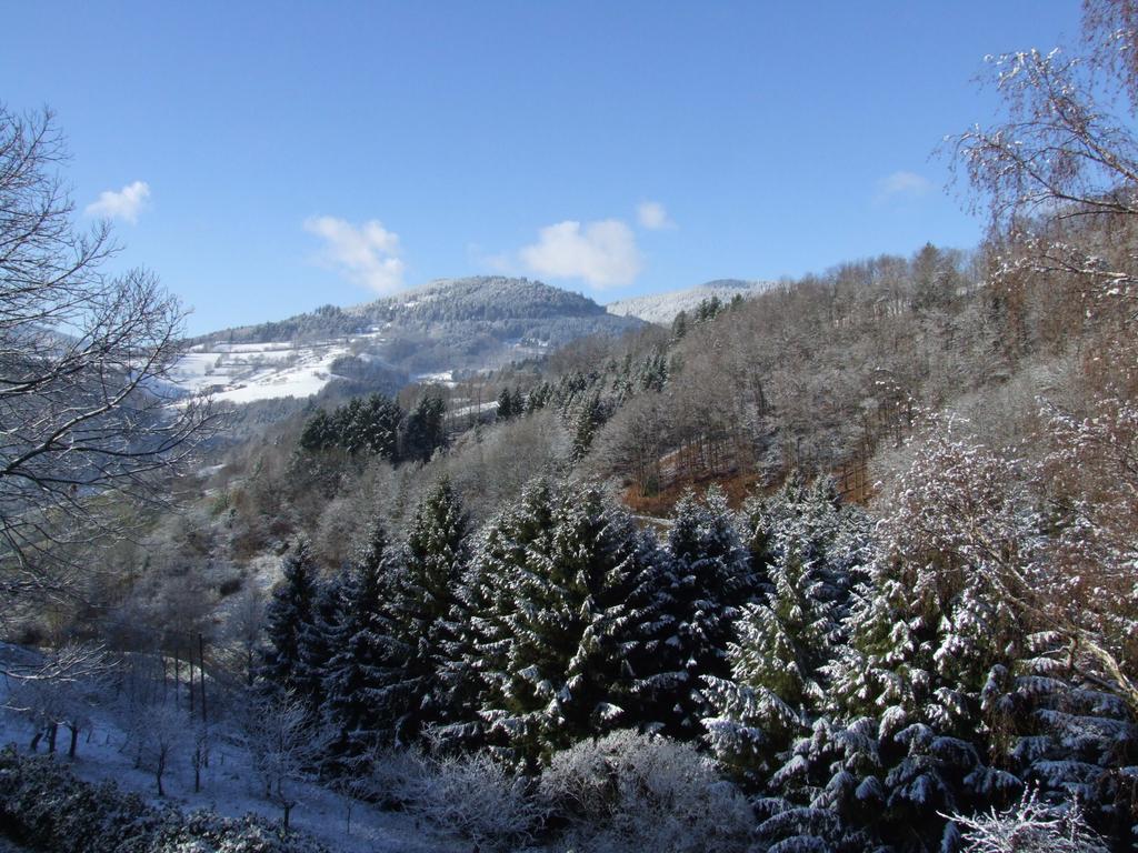 La Haute Grange Gites De Charme En Alsace Fréland Екстериор снимка